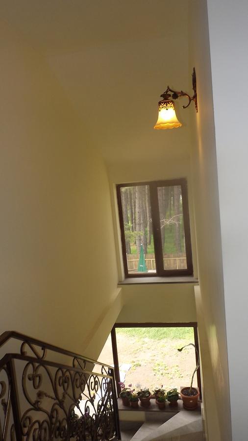 Nectar Hotel Dilidjan Extérieur photo